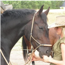 Estelle by Brigadör horse mare together with owner Lisa Engman