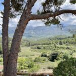 The pool with stunning views of the horses and the valley with olive trees in the distance.