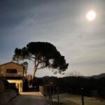 Moonlight picture of the property with a big tree as a silouette.