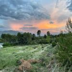 Environment picture with pink skies and mountains in the background.