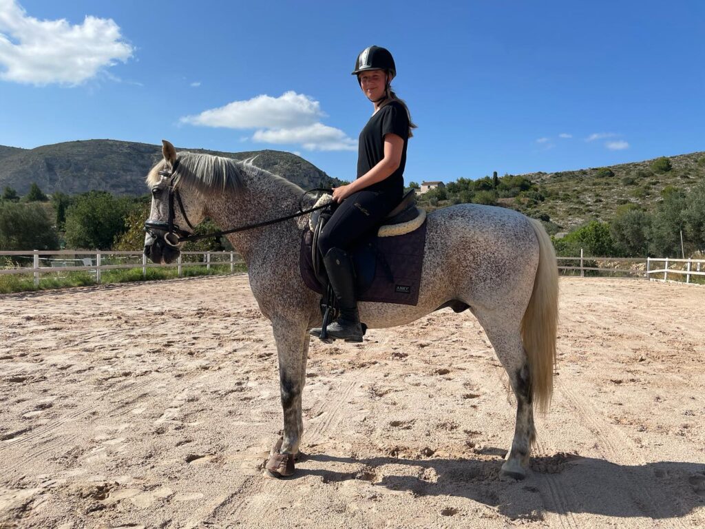 Duende PRE/Arab-cross pony standing in riding pasture with rider