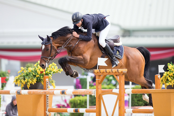 horse chipotle hh jumping over obsticle during competition